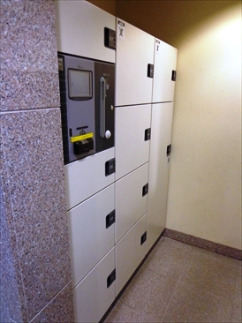 パトリス２６