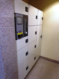 パトリス２６