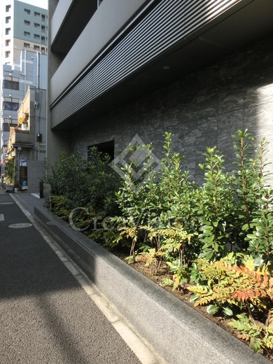 プレジリア新富町