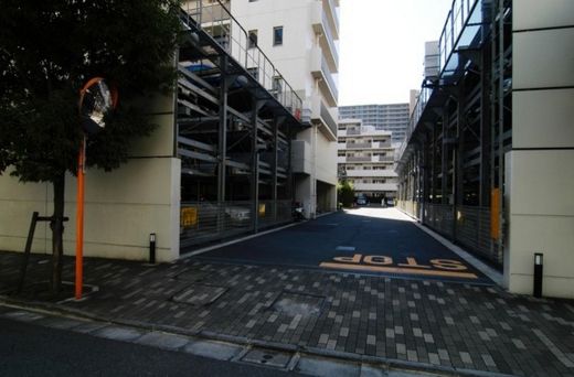 ルネプライディア