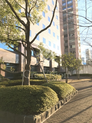 ルシマン月島