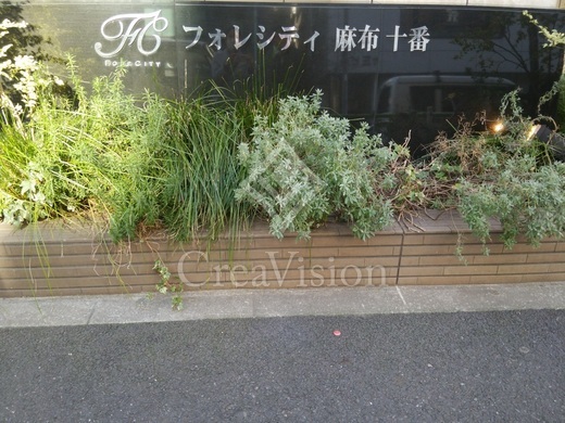 フォレシティ麻布十番