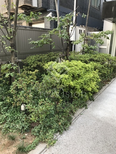 アパートメンツ元麻布