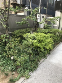 アパートメンツ元麻布
