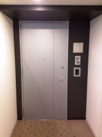 富士見デュープレックスビズ