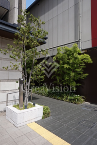 クラッシィスイート・ジオ東麻布