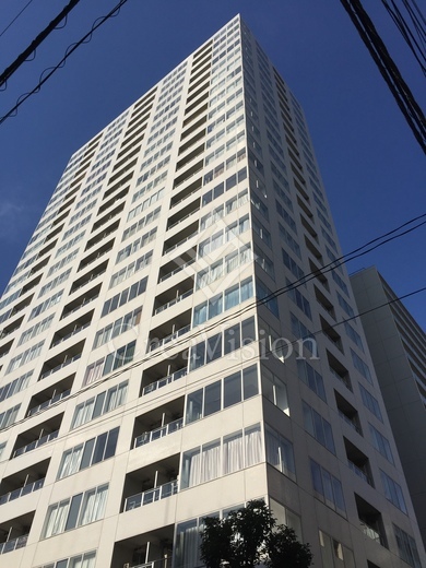 Ｗｈｉｔｅ　Ｔｏｗｅｒ　Ｈａｍａｍａｔｓｕｃｈｏ