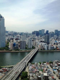 ライオンズタワー月島