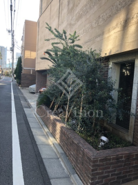 ヴィヴァーチェ高輪