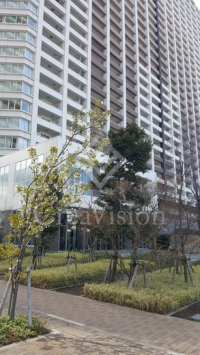 Ｂｒｉｌｌｉａ　有明　Ｓｋｙ　Ｔｏｗｅｒ