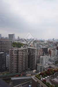 渋谷プロパティータワー