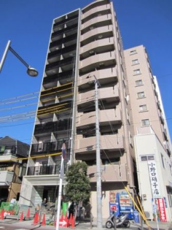 セルビシエ白金
