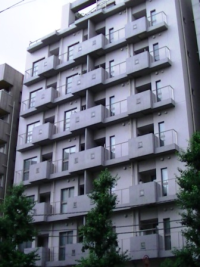 ホワイトフロント