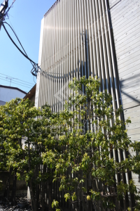 スペックハウス白金台