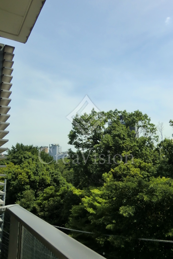 ミルーム南青山