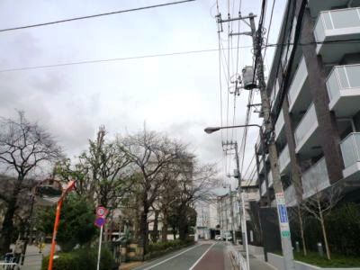 ソアラノーム碑文谷