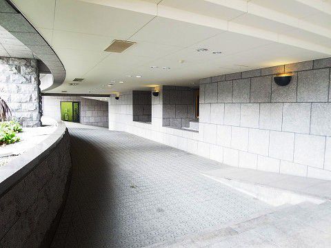 レジオン白金クロス
