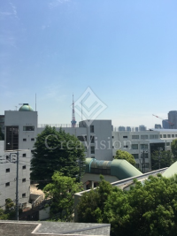 アパートメンツ元麻布内田坂