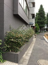 コンフォリア北参道