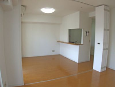カスタリア新富町3