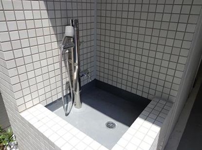 アデニウム東京八丁堀