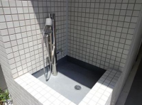 アデニウム東京八丁堀