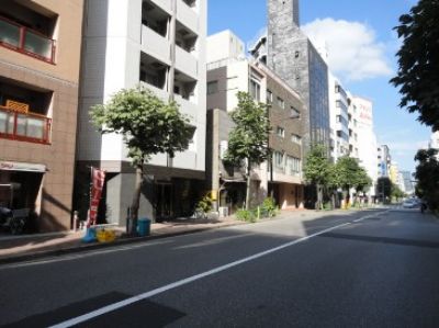 ベルファース新富町