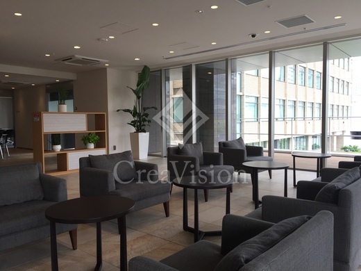 ルミレイス豊洲