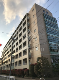 willDo清澄