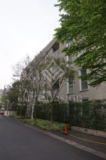 ＢｌｏｓｓｏｍＴｅｒｒａｃｅ