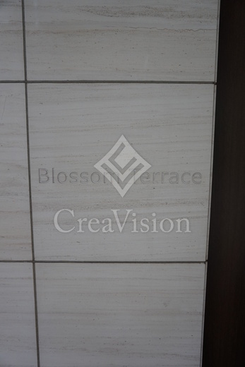 ＢｌｏｓｓｏｍＴｅｒｒａｃｅ