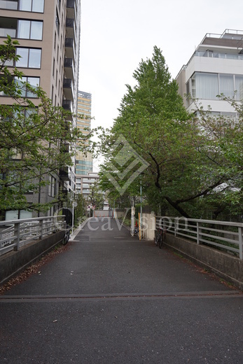 ＢｌｏｓｓｏｍＴｅｒｒａｃｅ