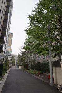 ＢｌｏｓｓｏｍＴｅｒｒａｃｅ