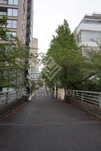 ＢｌｏｓｓｏｍＴｅｒｒａｃｅ
