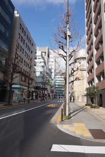 パークハビオ平河町