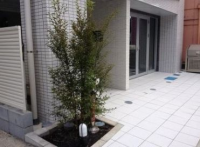 グランデュオ広尾