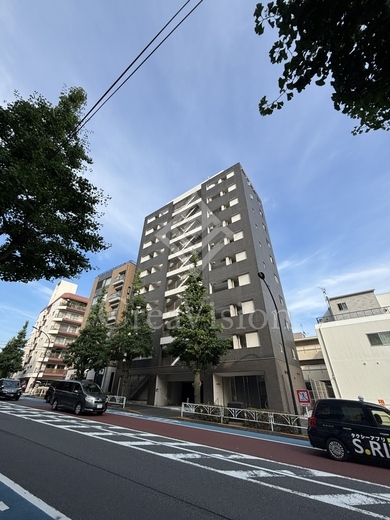 CATS原宿 (キャッツ原宿)