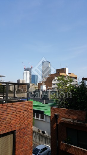 ＣＡＲＯ南青山