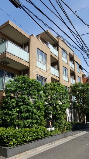 ＣＡＲＯ南青山