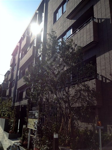 パークナード南麻布