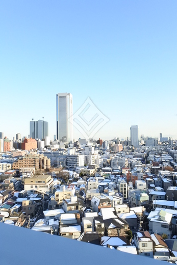 パークハビオ渋谷本町レジデンス