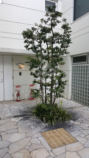テラス乃木坂