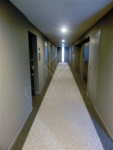 ＷＡＳＥＤＡ　ＡＰＡＲＴＭＥＮＴ