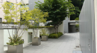 ブランズ赤坂