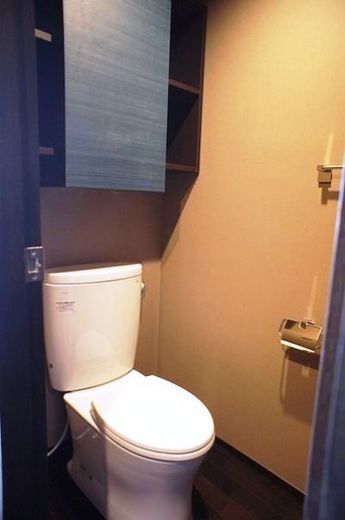トリビュート白金