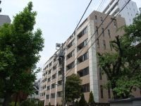 LUMIEC un 南麻布Ⅱ (ルミークアン南麻布Ⅱ)