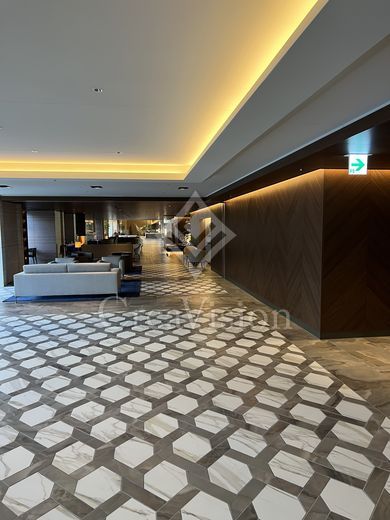 白金ザ・スカイ