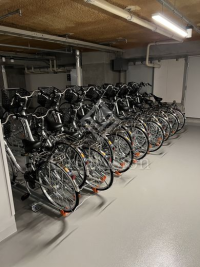 白金ザ・スカイ