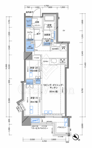 ラティエラ横濱大通り公園　509号室　間取り