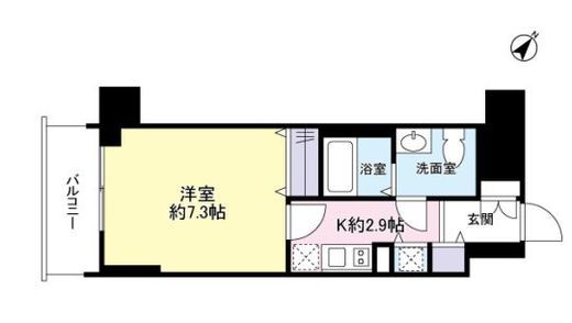グロースメゾン新横浜　203号室　間取り